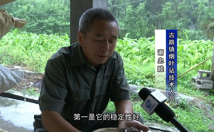 緊緊抓住木屑造粒機(jī)生物質(zhì)顆粒燃料加工場地建設(shè)項(xiàng)目落地的契機(jī)，找準(zhǔn)結(jié)合點(diǎn)，推動共和綜合服務(wù)型煙農(nóng)專業(yè)合作社與生物質(zhì)顆粒燃料加工廠的緊密合作.jpg